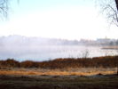 morgennebel am heidesee