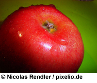 Abnehmen mit der Apfel-Reis-Dit